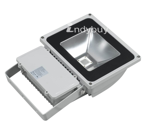 Lighting 100 Watt LED Floodlight-White Light